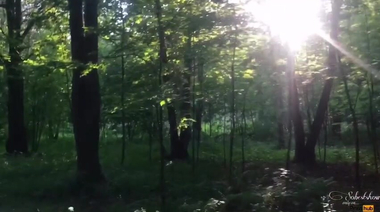 Глубокий минет россиянки, подавившейся вкусной спермой в парке