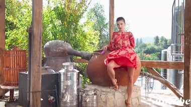 «Винный тур» с Аниким Джонс