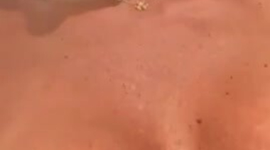 Слитое в интернет видео с еблей грудастой красотки Элис Гудвин