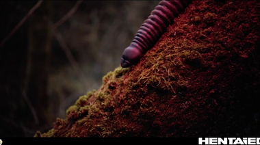 Пышнотелая герпетолог София Ли в лесу нарвалась на похотливого монстра